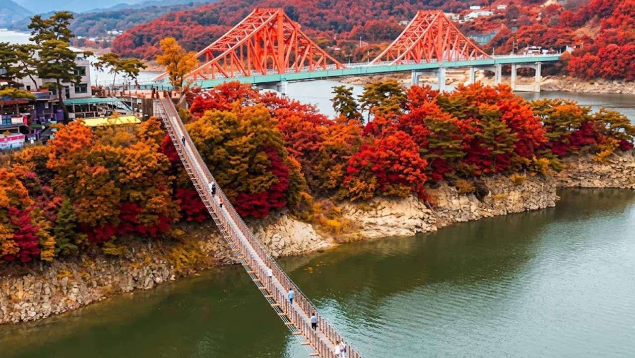 단풍 숲 사이로 호수 위 출렁다리와 철제 교량이 이어지는 충북 제천 청풍호 가을 풍경. / 대한민국 구석구석, ai