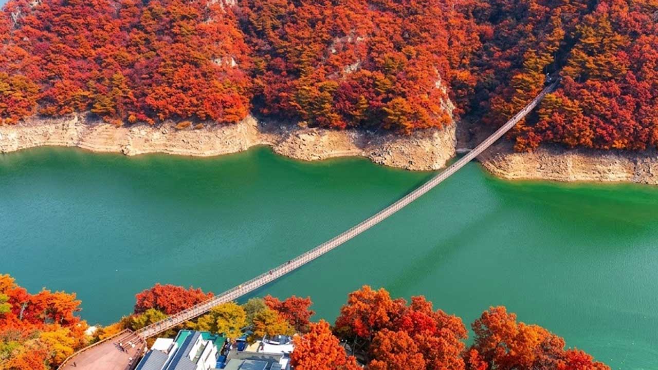 단풍이 든 산자락 아래 청풍호 위로 길게 뻗은 충북 제천 옥순봉 출렁다리. / 대한민국 구석구석, ai