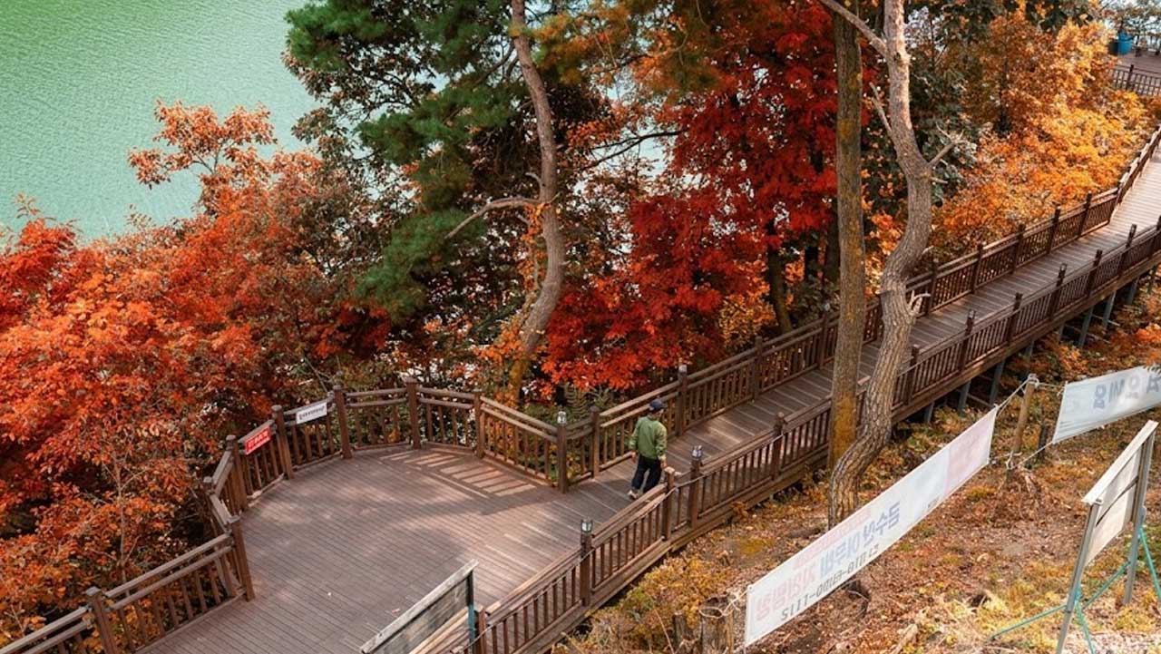 단풍나무 사이로 이어지는 충북 제천 옥순봉 출렁다리 목재 데크길. / 대한민국 구석구석, ai