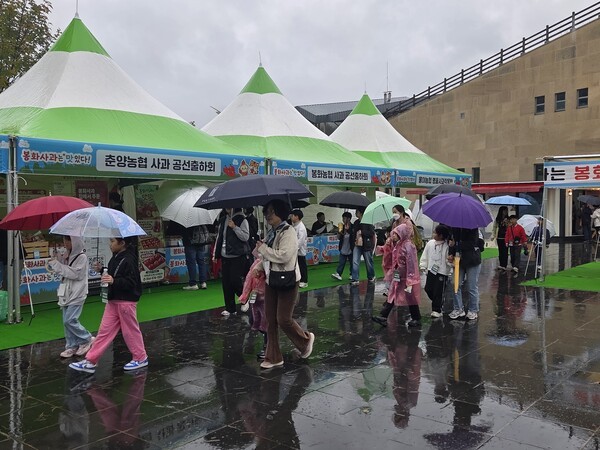 백두대간 수목원에서 봉화사과 홍보행사가 펼쳐지고 있다./사진-봉화군