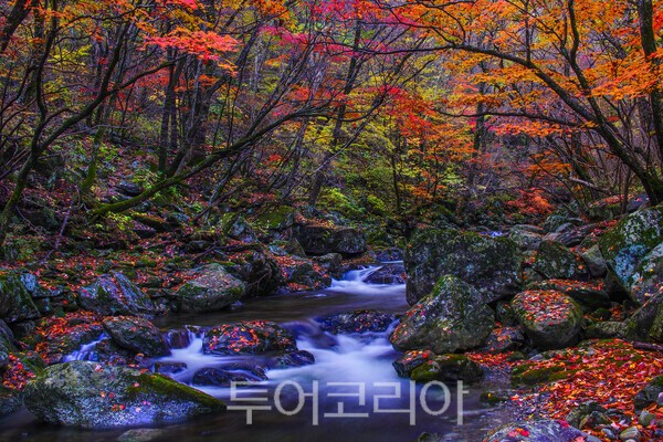 사진 / 무주구천동 제29경 백련담 부근의 아름다운 단풍_투어코리아 유지훈 기자 (덕유산국립공원 협조)