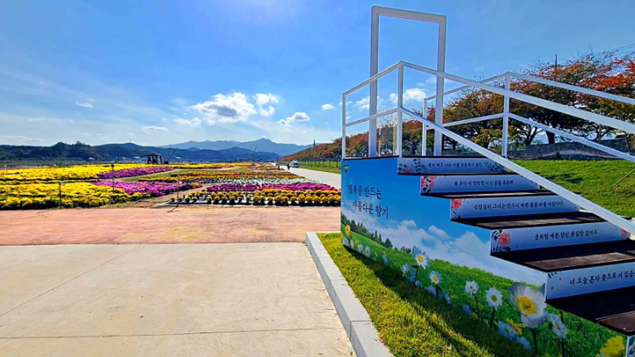 양양 남대천 국화동산 입구 쪽에 놓인 계단형 포토존. / 양양군 공식 SNS