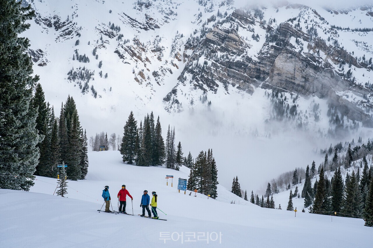 "알타 스키 에어리어(Alta Ski Area)" "솔리튜드 마운틴 리조트(Solitude Mountain Resort)" "스노버드(Snowbird)" /사진-유타관광청
