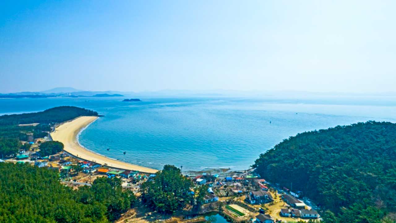 . / 보령시 공식 SNS