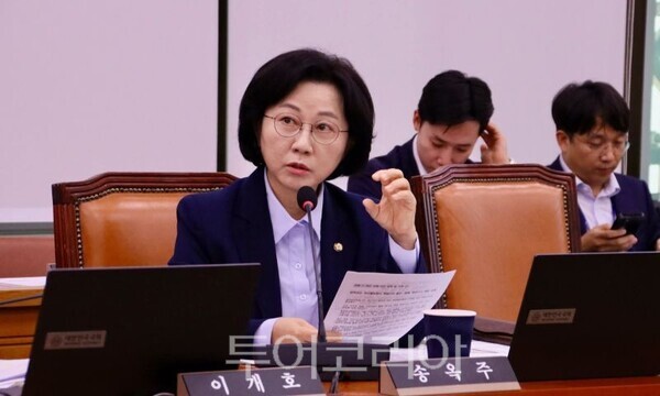 국감장 송옥주 의원/투어코리아뉴스 정명달 기자 사진=의원실