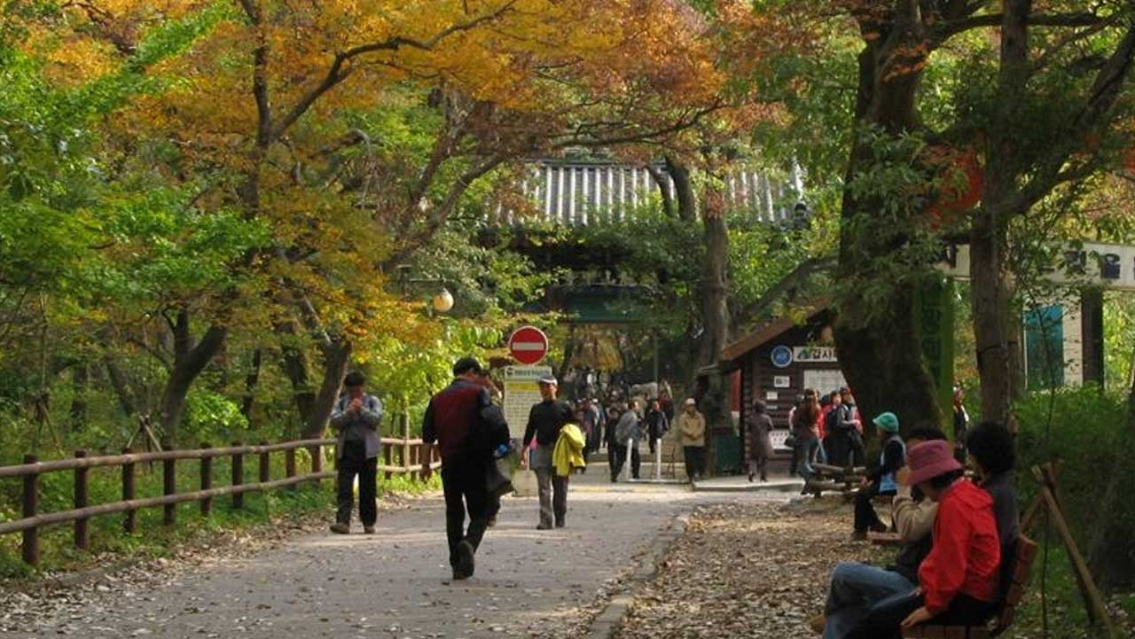 노랗게 물든 나무 아래로 방문객이 걸어 들어가는 갑사 오리숲길 입구. / 충청남도 누리집