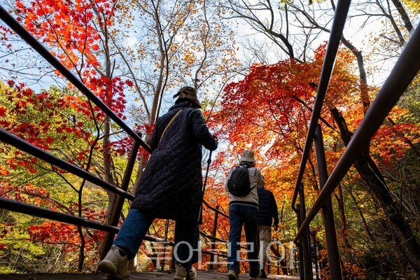지리산 뱀사골 붉게 물든 가을 사진=남원시