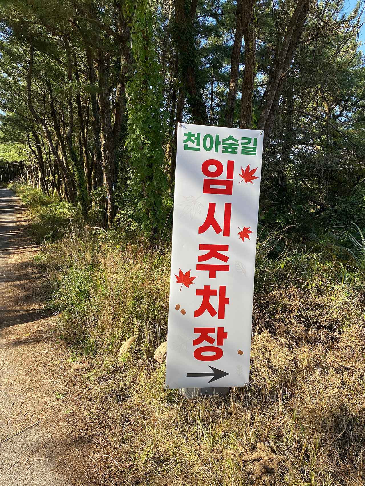 제주 천아숲길 임시주차장 표지. / 사진 출처=제주특별자치도 공식 블로그