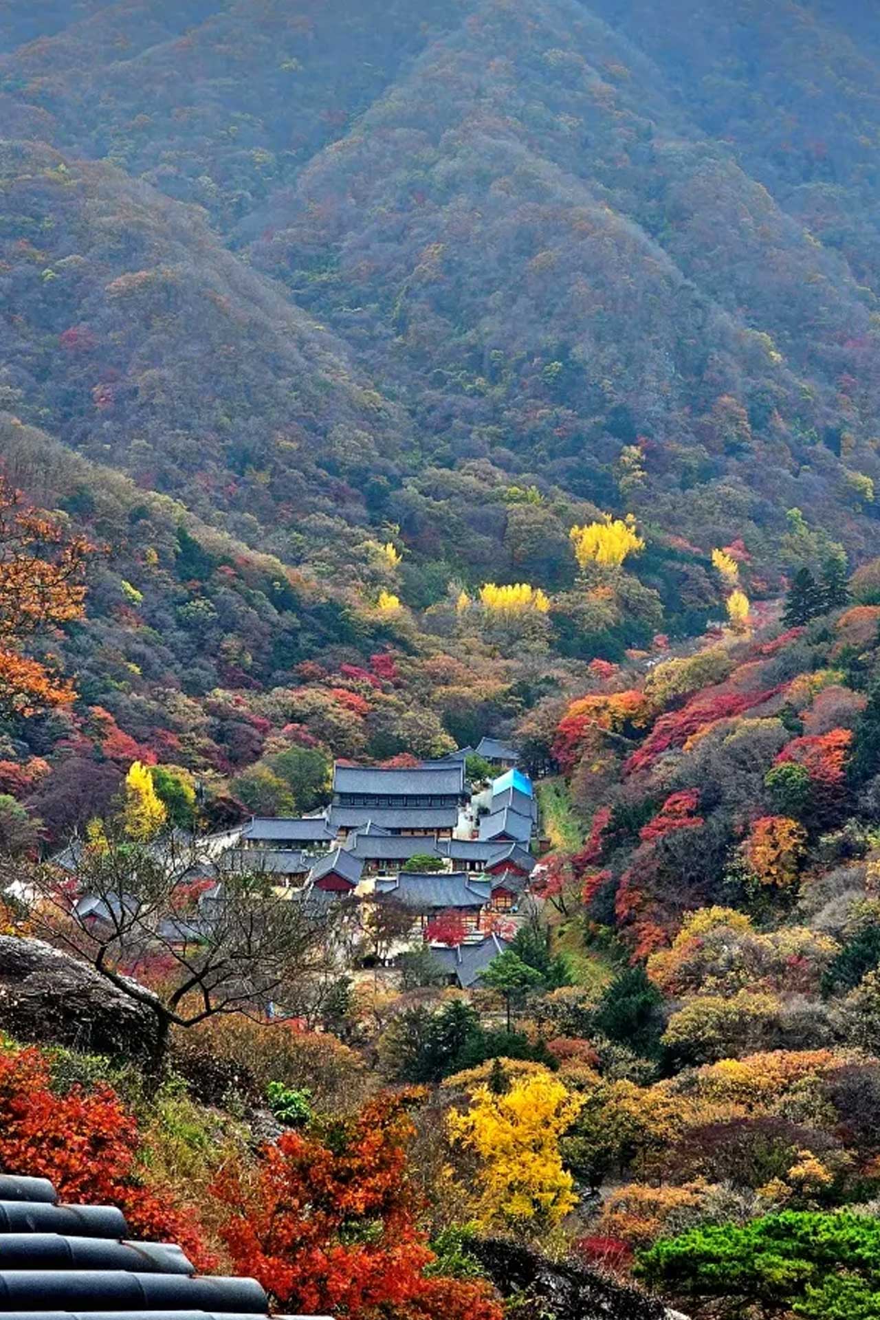 전남 장성 백양사 경내를 높은 곳에서 내려다본 모습. / 백양사 템플스테이