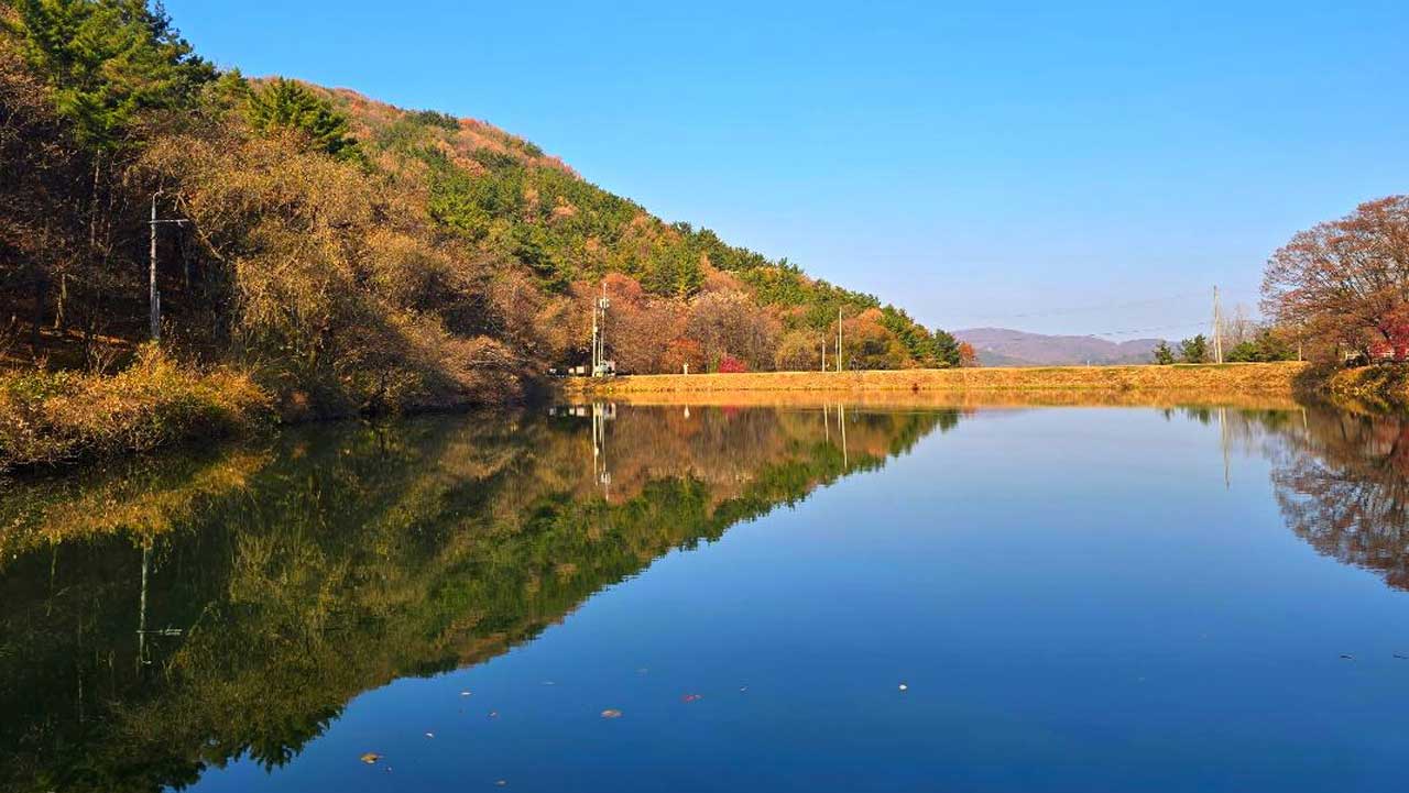 충남 공주 불장골저수지 물가. / 충청남도
