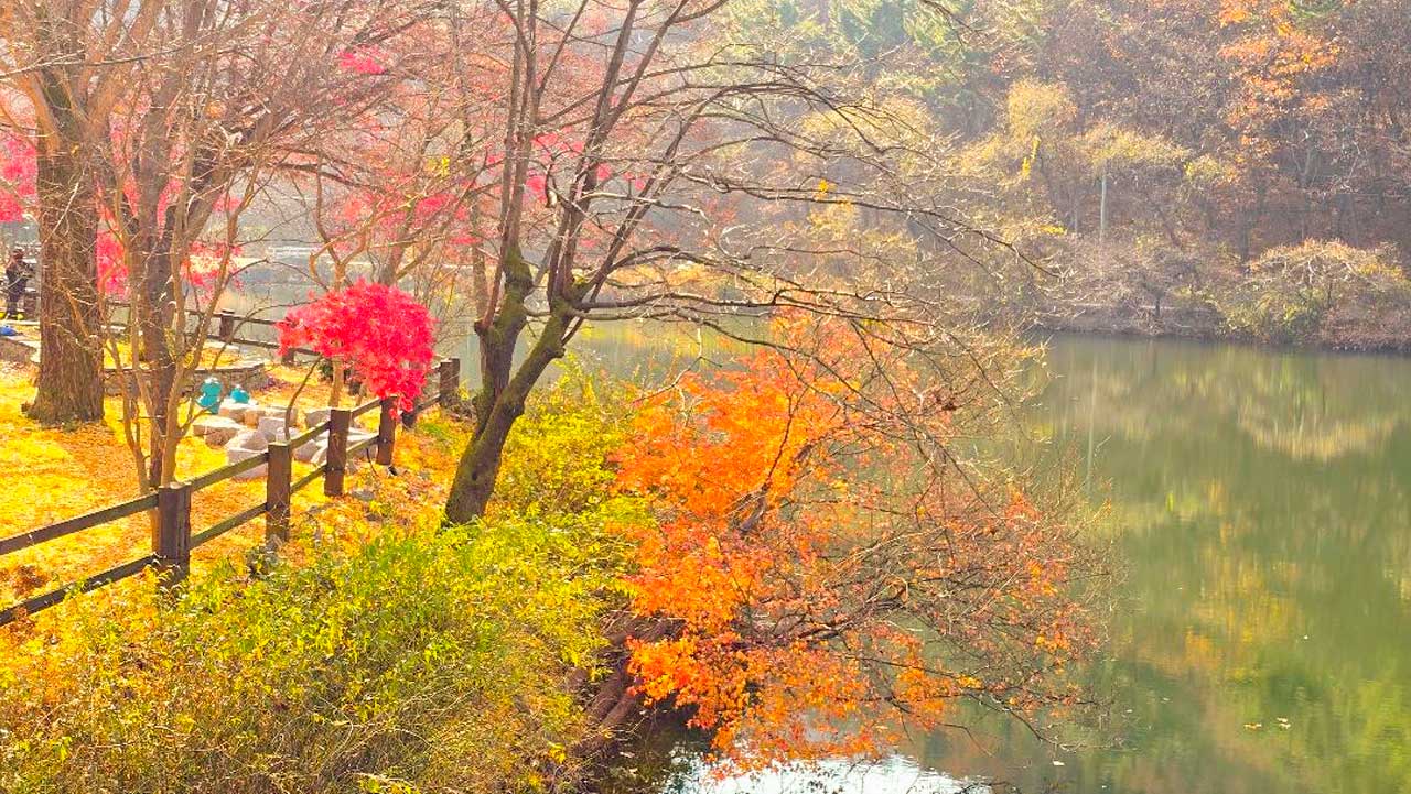 충남 공주 불장골저수지 수면. / 충청남도