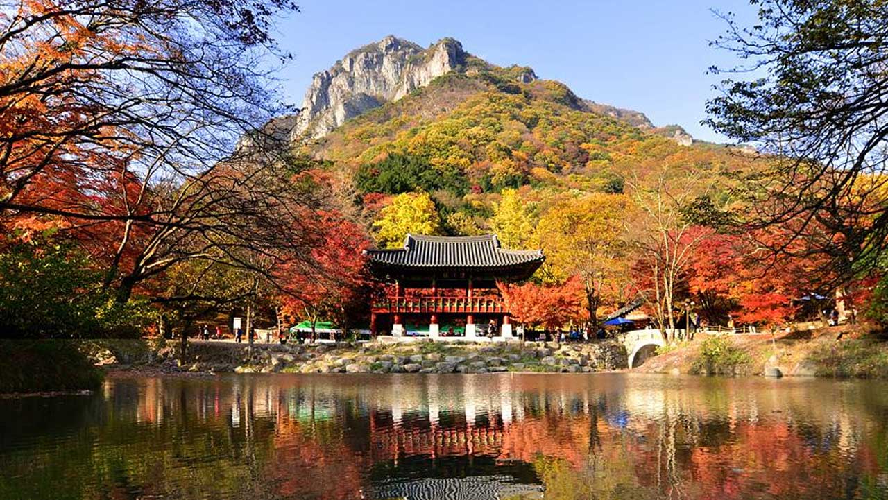 전남 장성 백양사 전경. 단풍 든 산자락 아래 경내 전각이 모여 있다. / 백양사