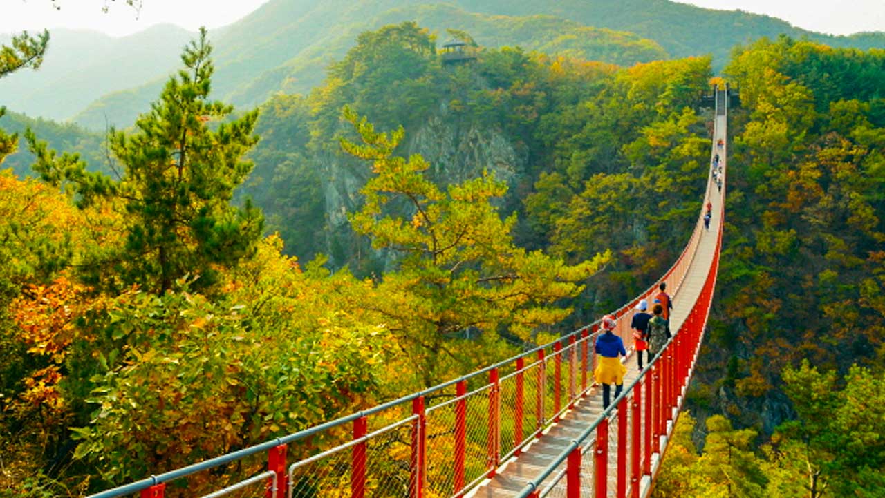 경기 파주 감악산 출렁다리 위에서 바라본 모습. / 파주 문화관광