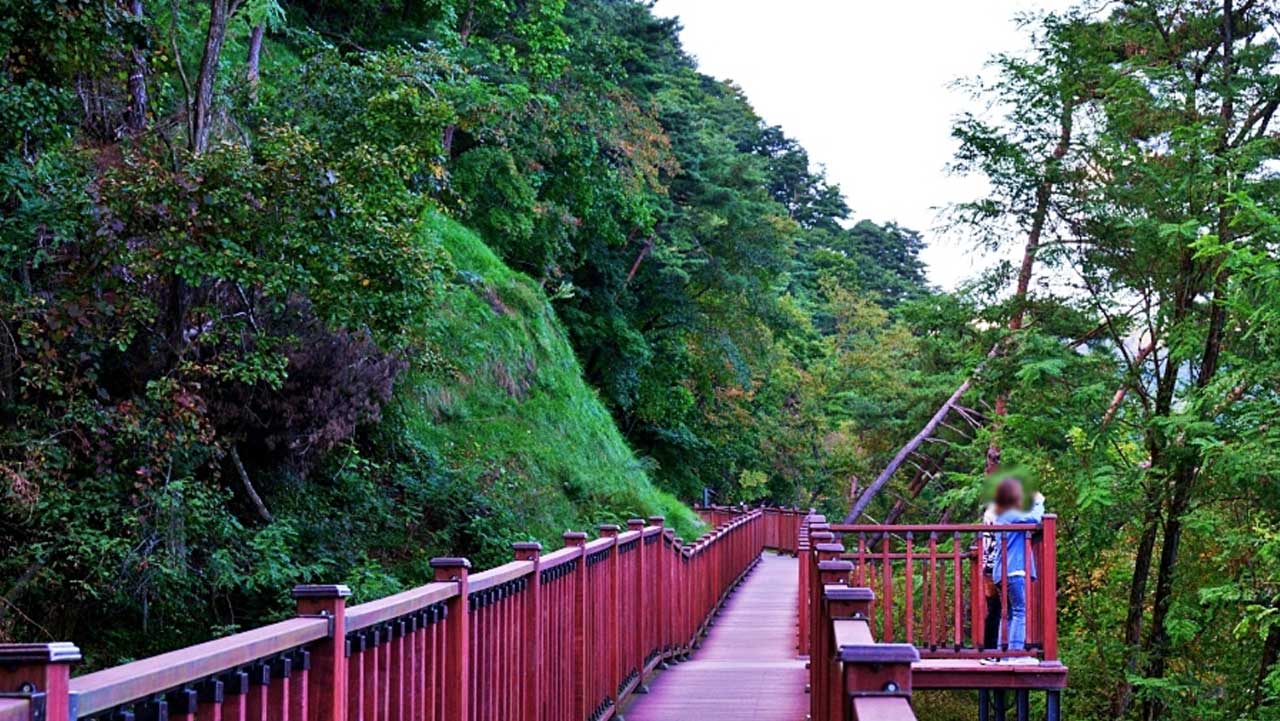 충북 제천 비룡담저수지 일대 숲길 데크. / 대한민국 구석구석 