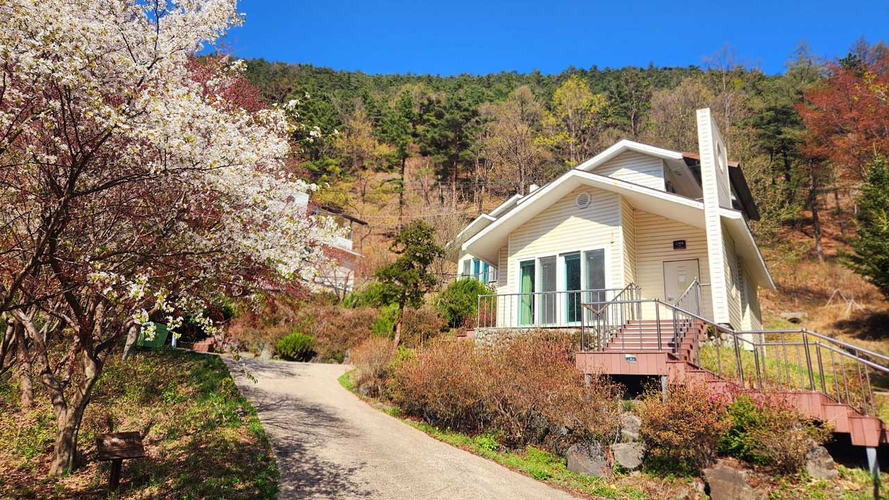 충북 보은 국립속리산말티재자연휴양림 숲속의 집. / 숲나들e