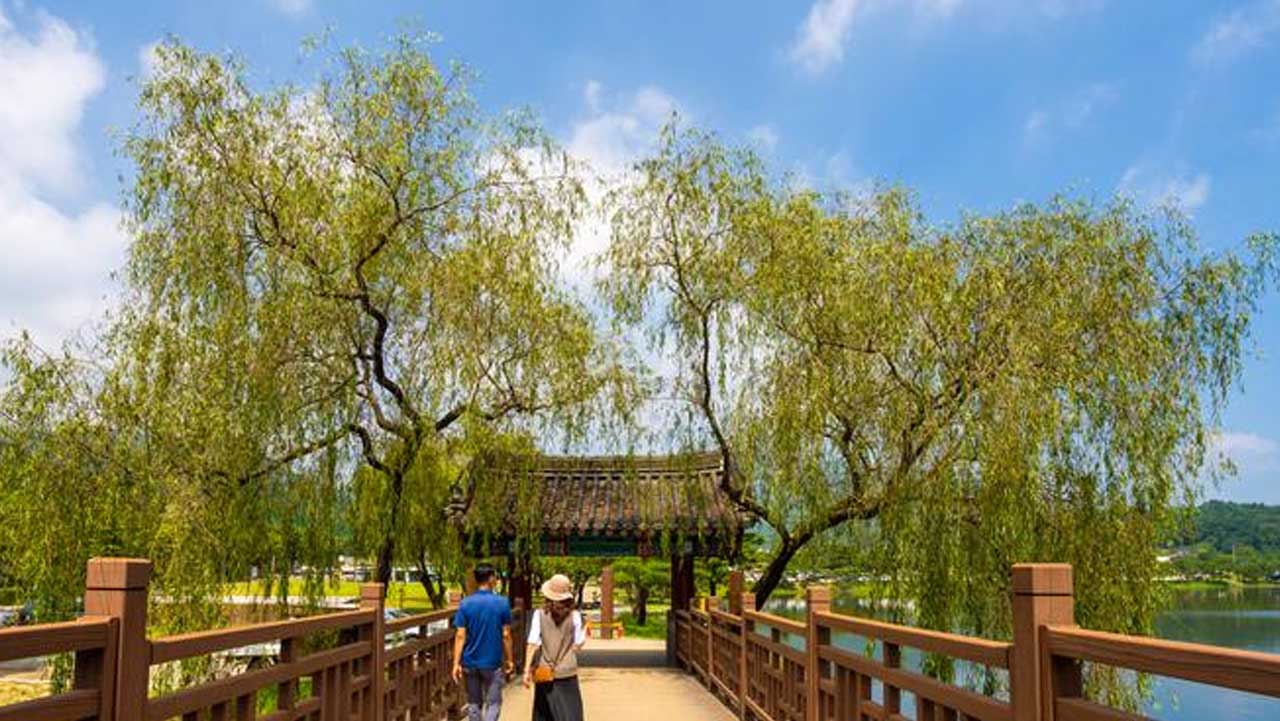 충북 제천 의림지 호수 전경. / 대한민국 구석구석