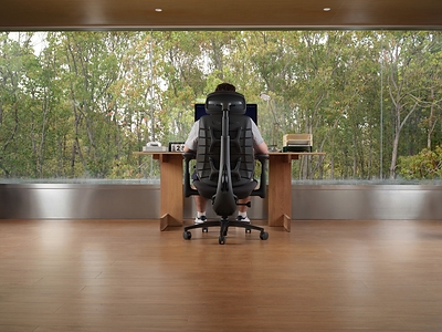 LiberNovo Fall Prime Sale | Dynamic Ergonomic Chairs Special Offer